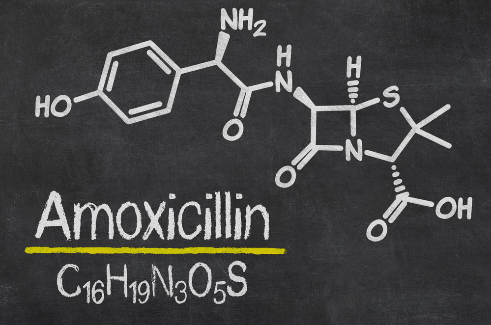 Amoxicillin molecule