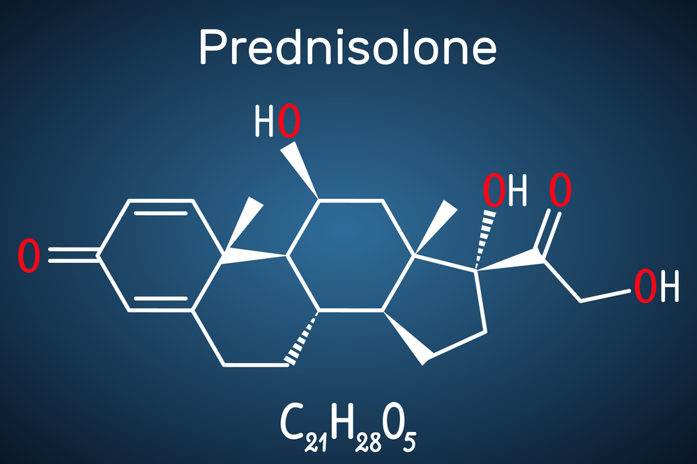 Prednisolone molecule